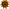 Flash